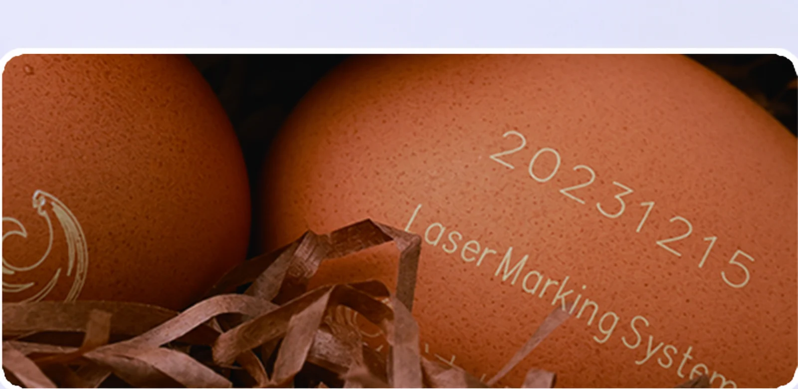 Illustrative detail of laser-marked dates and English text on brown eggshells